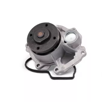 Pompe à eau HEPU P380