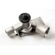Pompe à eau HEPU P384 - Visuel 1