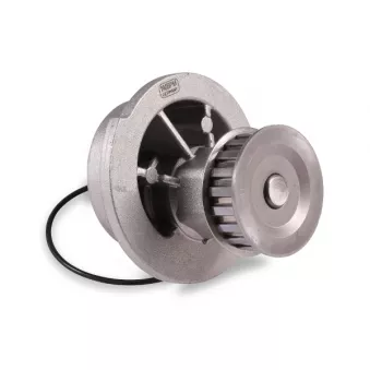 Pompe à eau HEPU P387