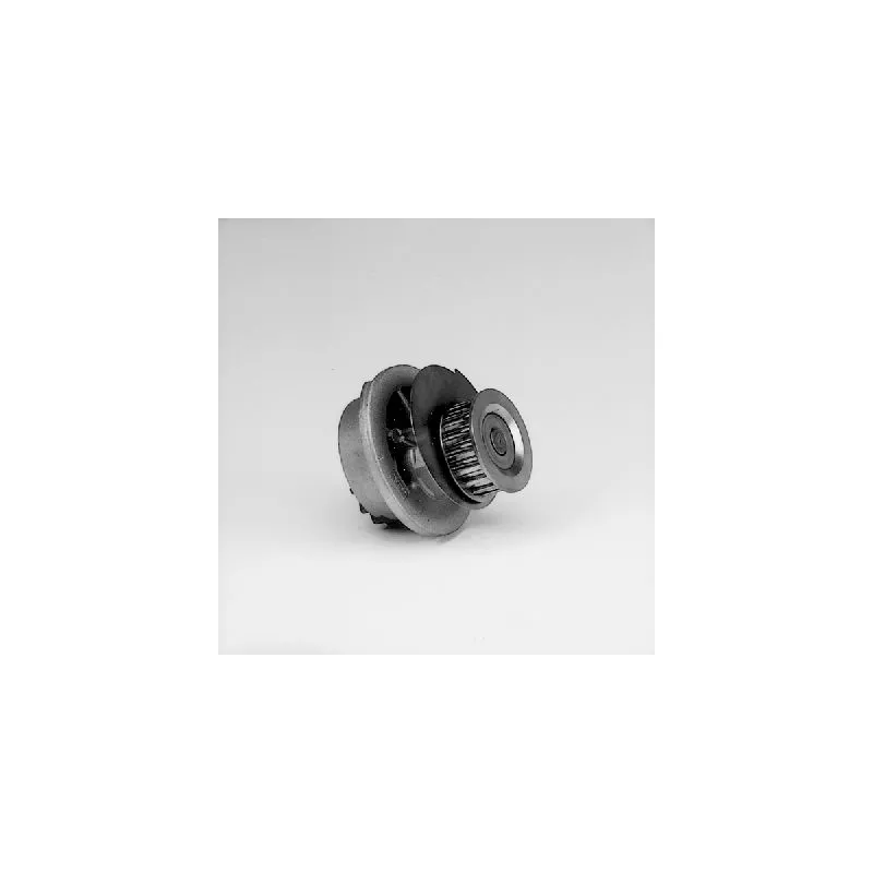 Pompe à eau HEPU P388