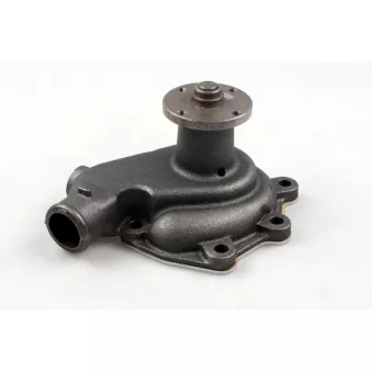 Pompe à eau HEPU P390