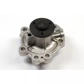 Pompe à eau HEPU P396