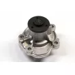 Pompe à eau HEPU P396 - Visuel 2