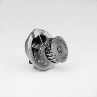 Pompe à eau HEPU P397