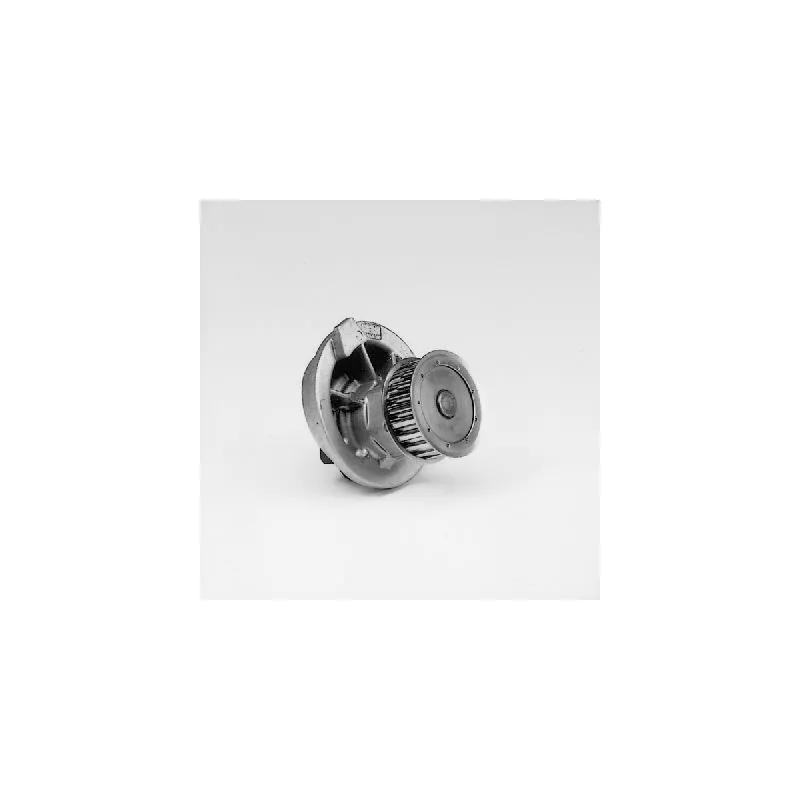 Pompe à eau HEPU P397