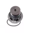Pompe à eau HEPU P398 - Visuel 1