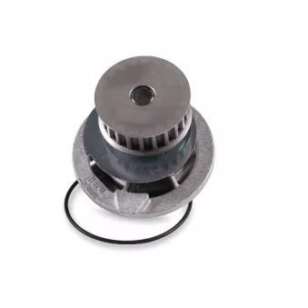 Pompe à eau HEPU P398