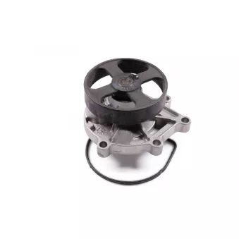 Pompe à eau HEPU P428