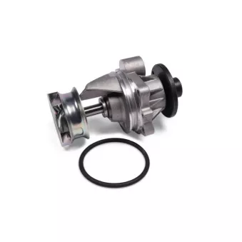 Pompe à eau HEPU P429