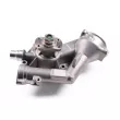 Pompe à eau HEPU P437 - Visuel 2