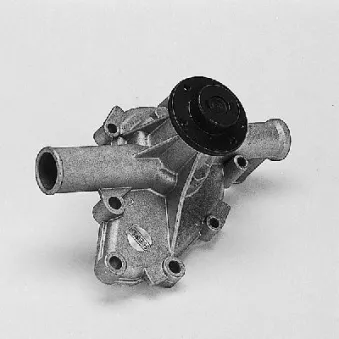 Pompe à eau HEPU P450