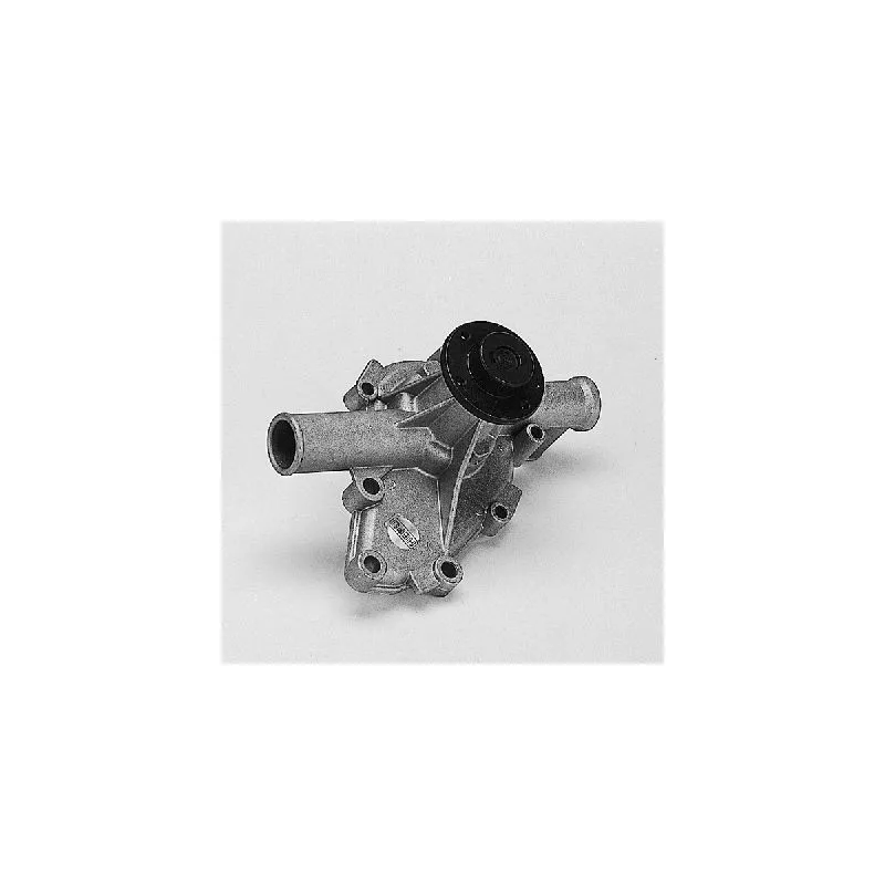 Pompe à eau HEPU P450