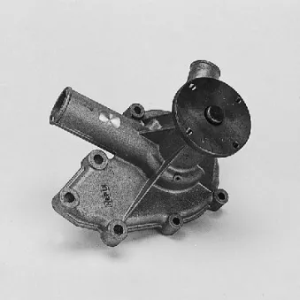 Pompe à eau HEPU P451