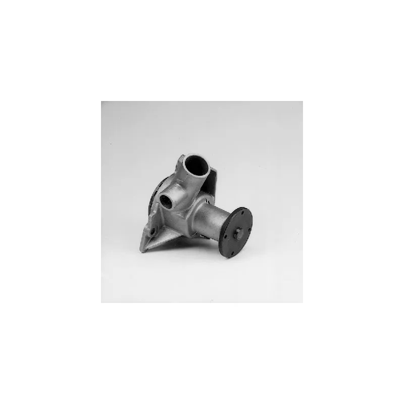 Pompe à eau HEPU P456