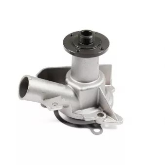 Pompe à eau HEPU P458