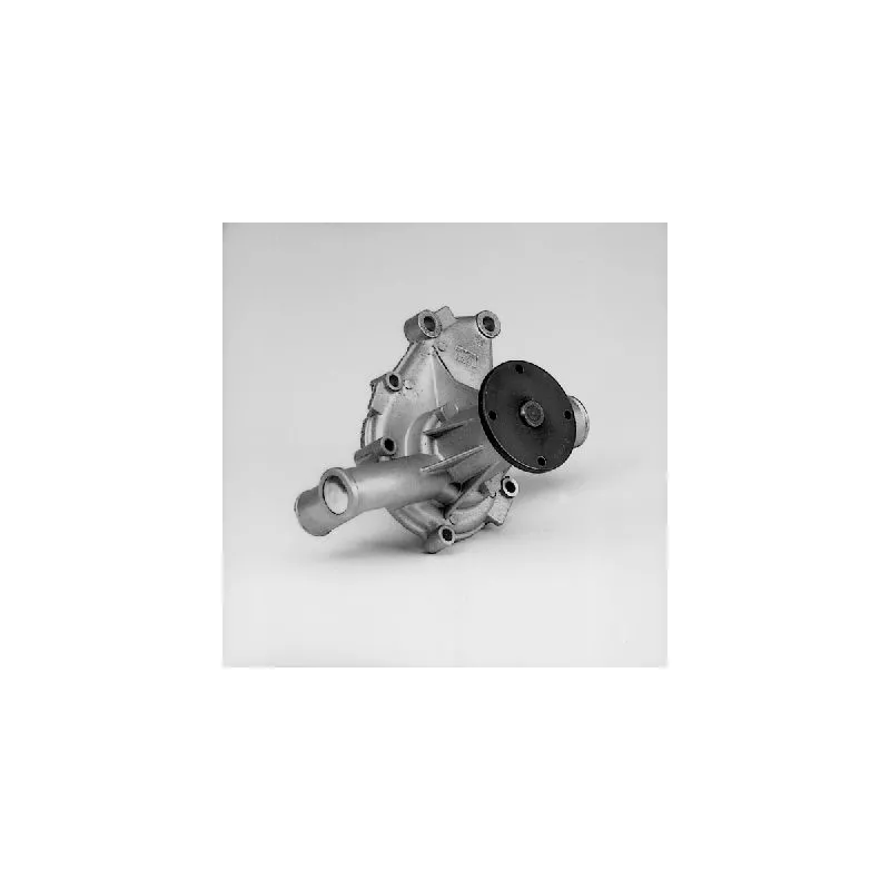 Pompe à eau HEPU P460