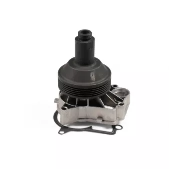 Pompe à eau HEPU P461