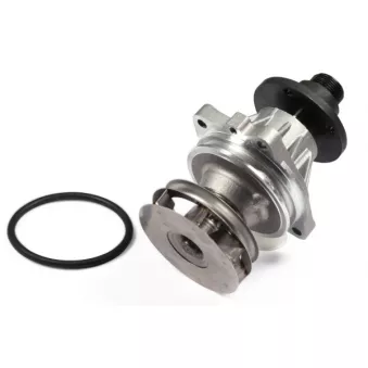 Pompe à eau HEPU P462