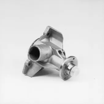 Pompe à eau HEPU P474