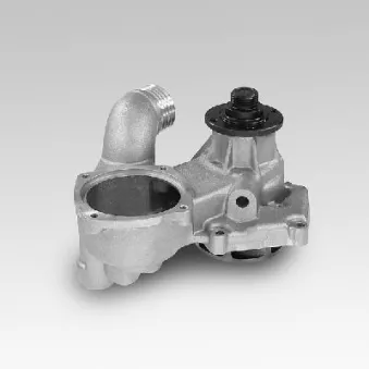 Pompe à eau HEPU P486