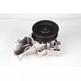 Pompe à eau HEPU P487