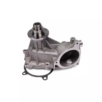 Pompe à eau HEPU P489
