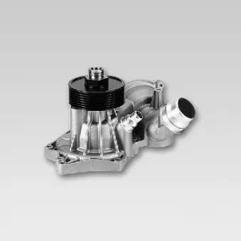 Pompe à eau HEPU P491