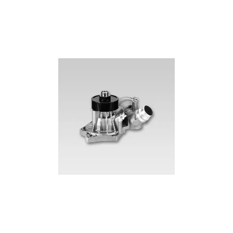 Pompe à eau HEPU P491