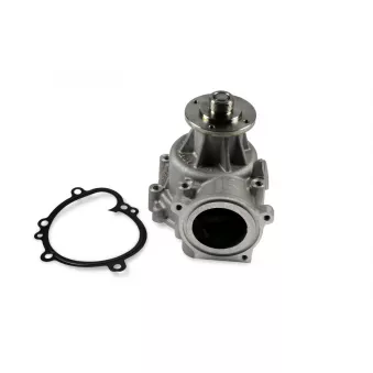 Pompe à eau HEPU P493