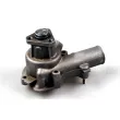 Pompe à eau HEPU P511 - Visuel 1