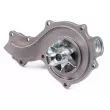 Pompe à eau HEPU P512S - Visuel 2