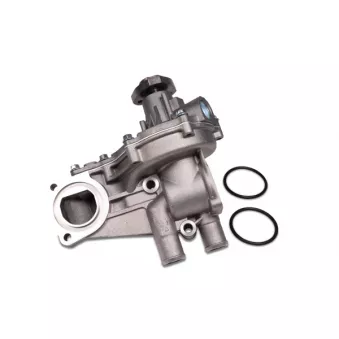 Pompe à eau HEPU P513