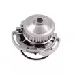 Pompe à eau HEPU P515 - Visuel 1
