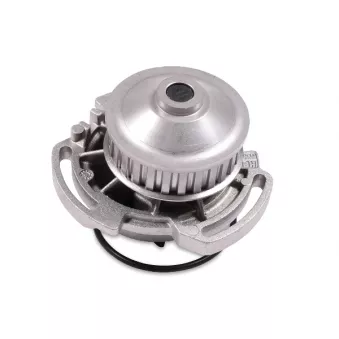 Pompe à eau HEPU P515