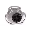 Pompe à eau HEPU P515 - Visuel 2