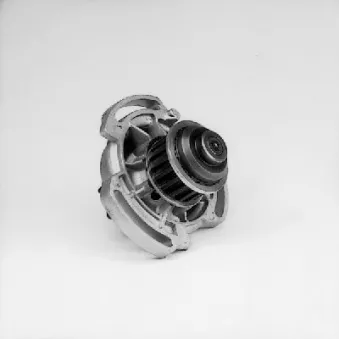 Pompe à eau HEPU P521