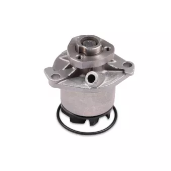 Pompe à eau HEPU P524