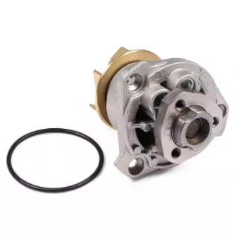 Pompe à eau HEPU P525