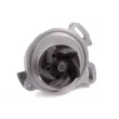 Pompe à eau HEPU P528 - Visuel 2