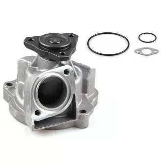 Pompe à eau HEPU P531