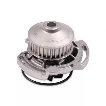 Pompe à eau HEPU P533