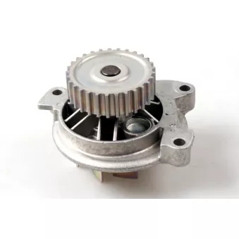 Pompe à eau HEPU P535