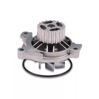 Pompe à eau HEPU P536