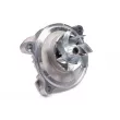 Pompe à eau HEPU P536 - Visuel 2