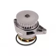 Pompe à eau HEPU P540 - Visuel 1