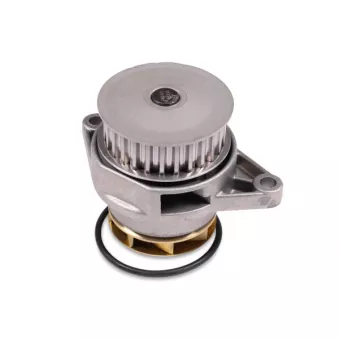 Pompe à eau HEPU P540