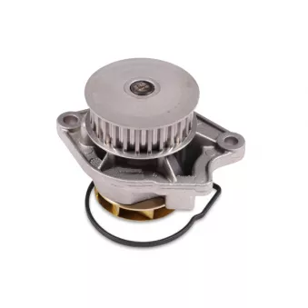Pompe à eau HEPU P541