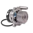 Pompe à eau HEPU P549 - Visuel 1