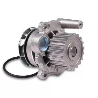 Pompe à eau HEPU P549