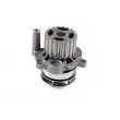 Pompe à eau HEPU P550 - Visuel 1